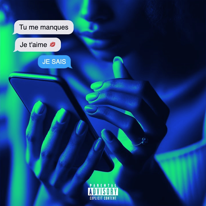 Album cover art for "Je Sais" by Shreez