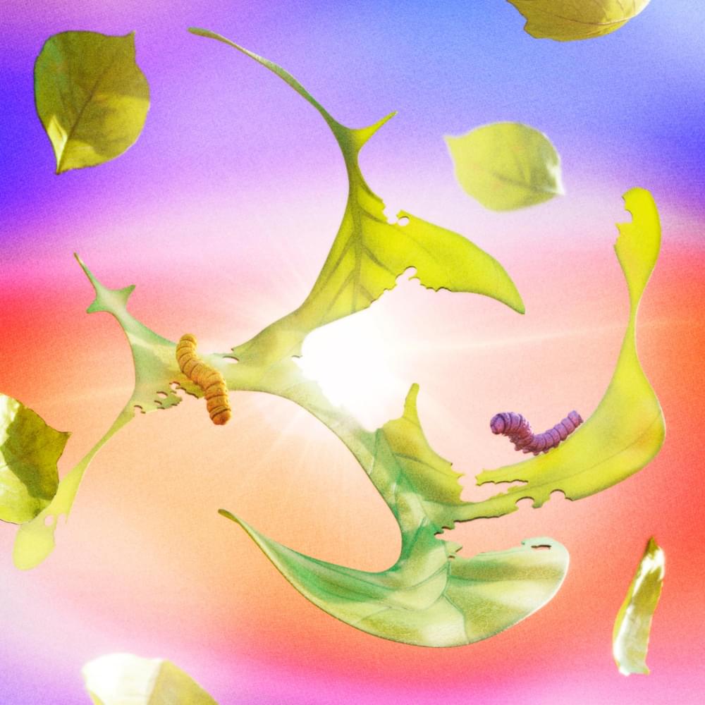 ​sol en Virgo by Algo