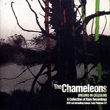 Album cover art for "Prisoners of the Sun" by The Chameleons