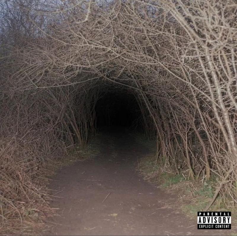 ​fp trap by ​starsaga