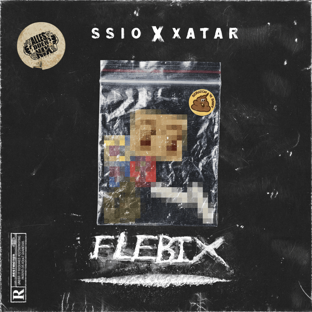 Album cover art for "FLEBIX" by SSIO