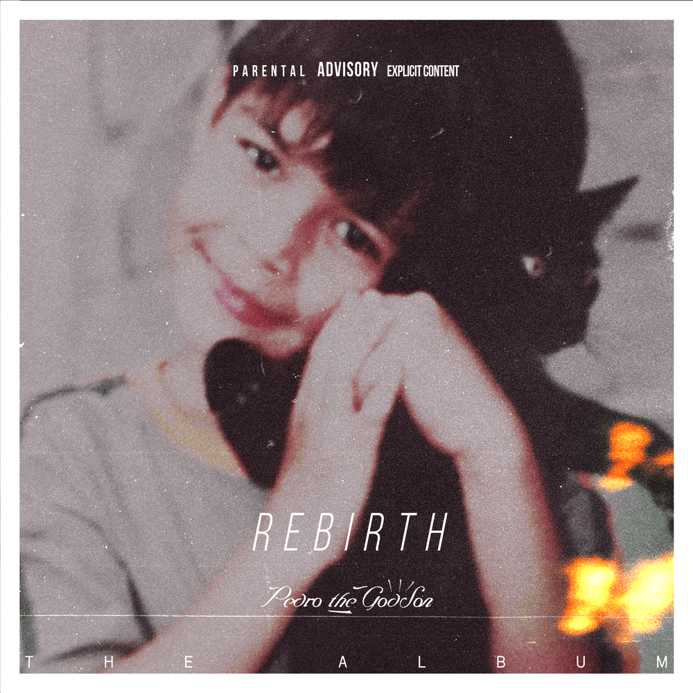 Cover image for Rebirth