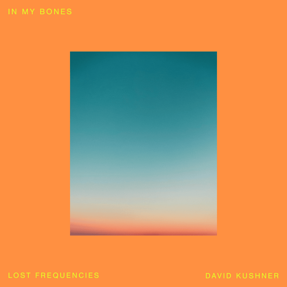 Album cover art for "In My Bones" by Bravo Hits