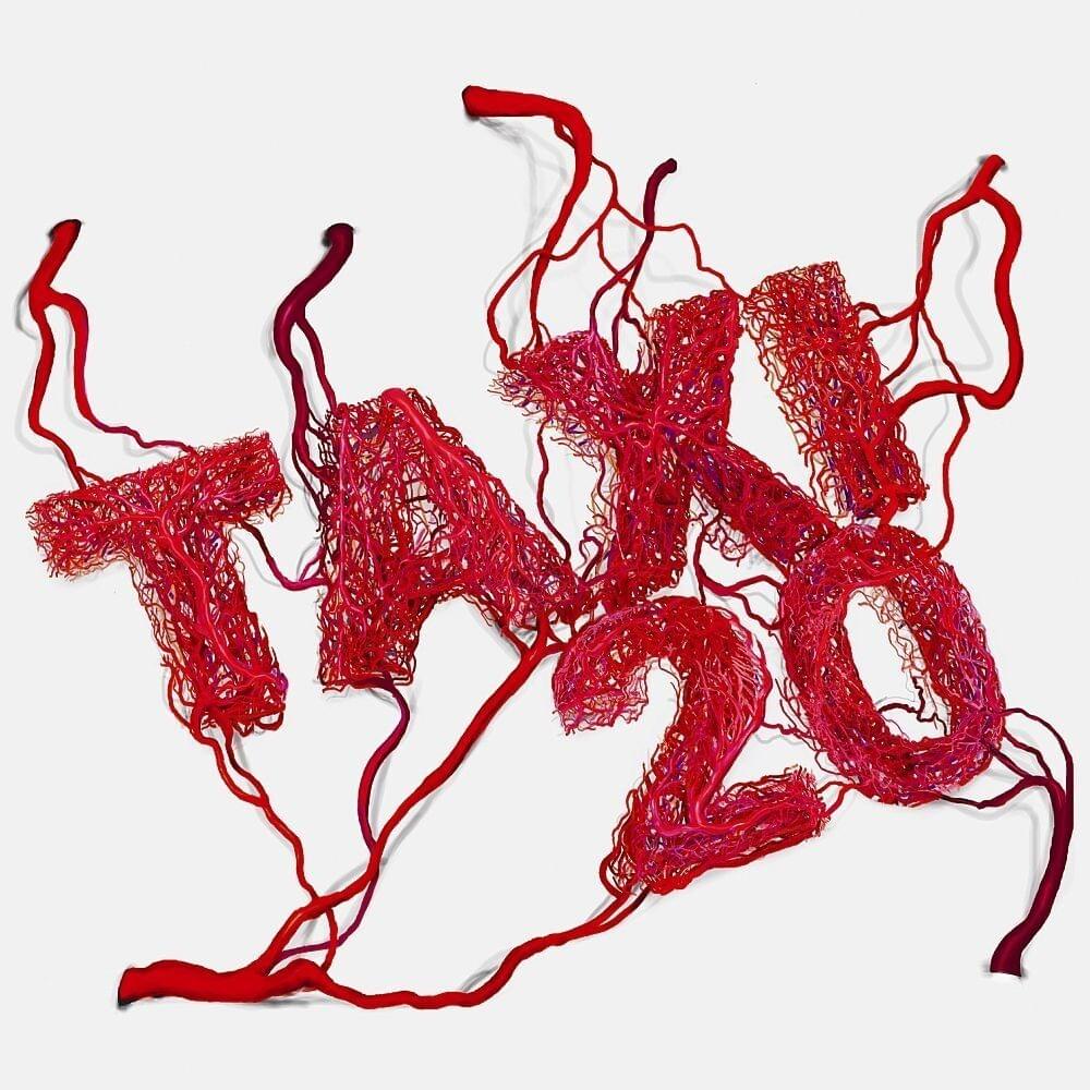 Cover image for Taxi 20