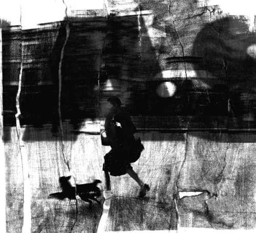 Camarades by Dumas