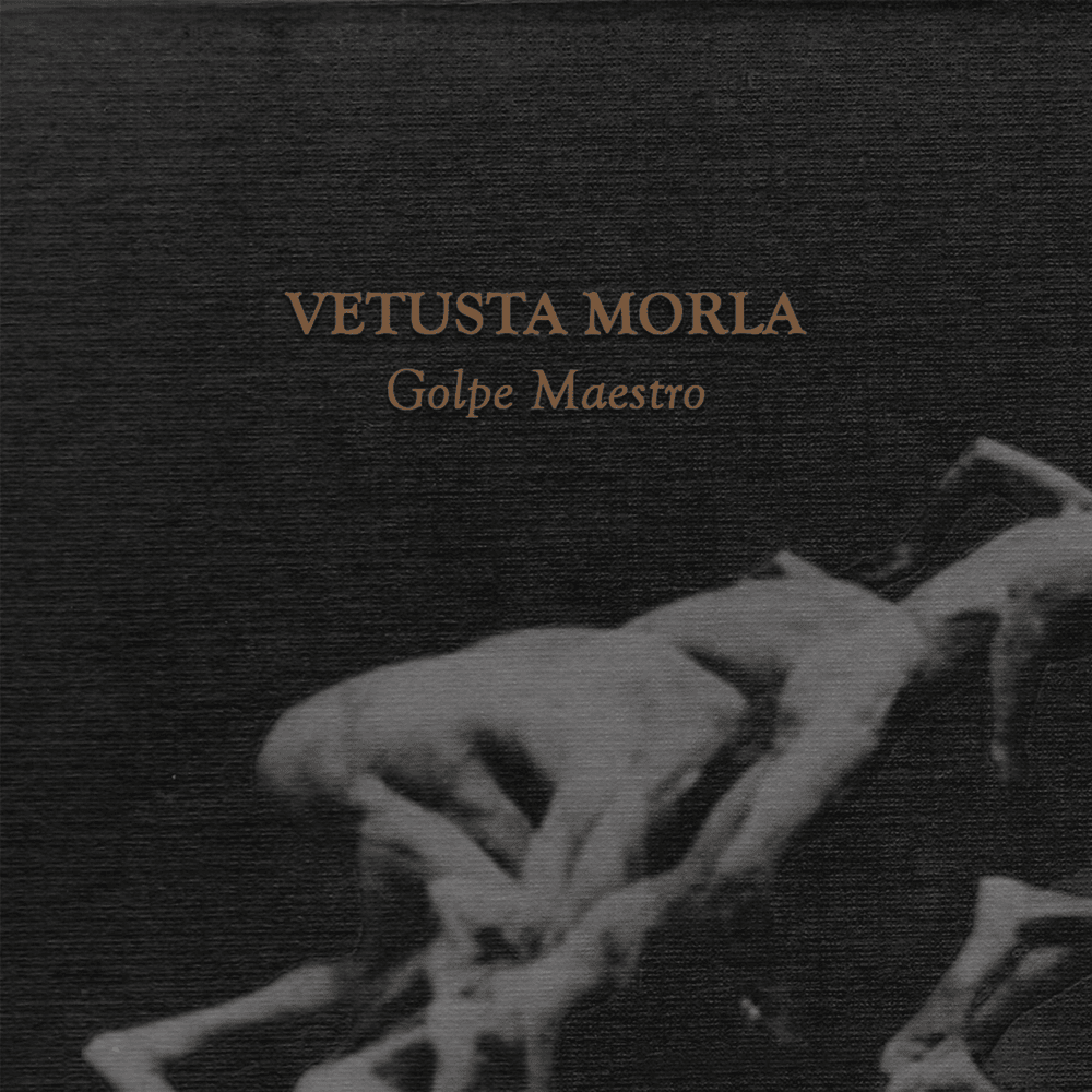 Album cover art for "Golpe Maestro" by Vetusta Morla