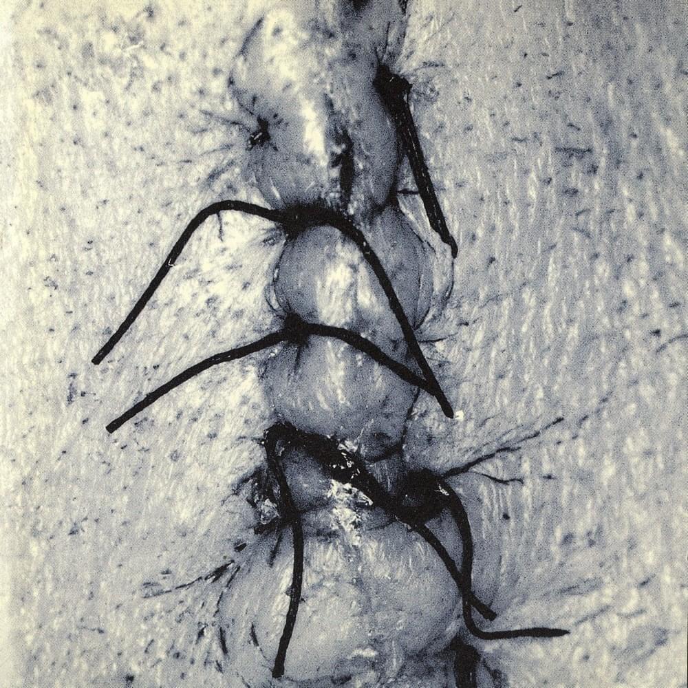 Album cover art for "Shéa" by Scheer