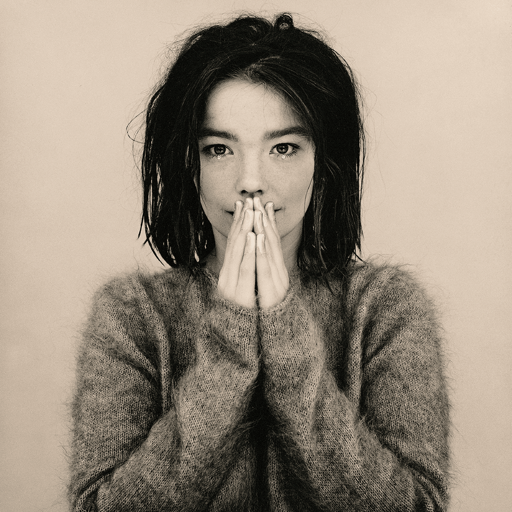 Album cover art for "The Anchor Song" by Björk