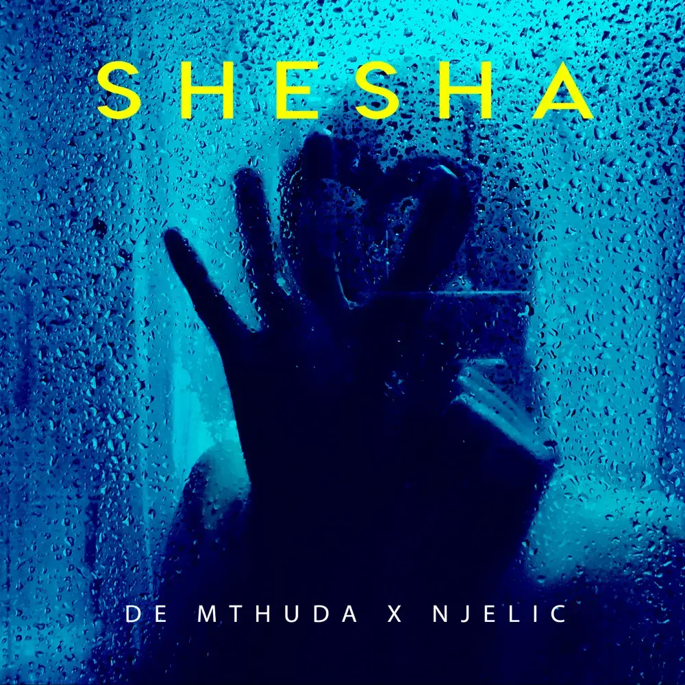 Album cover art for "Shesha" by De Mthuda