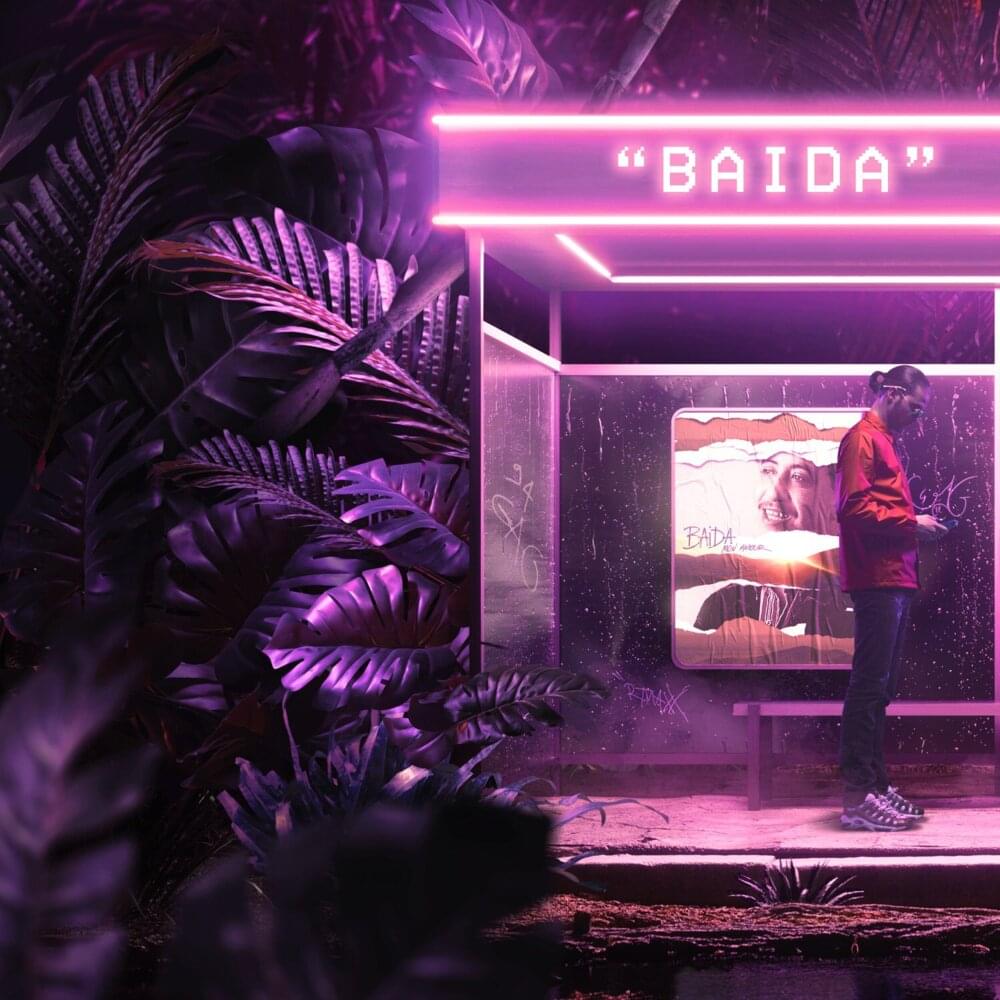 Album cover art for "Baida" by DTF