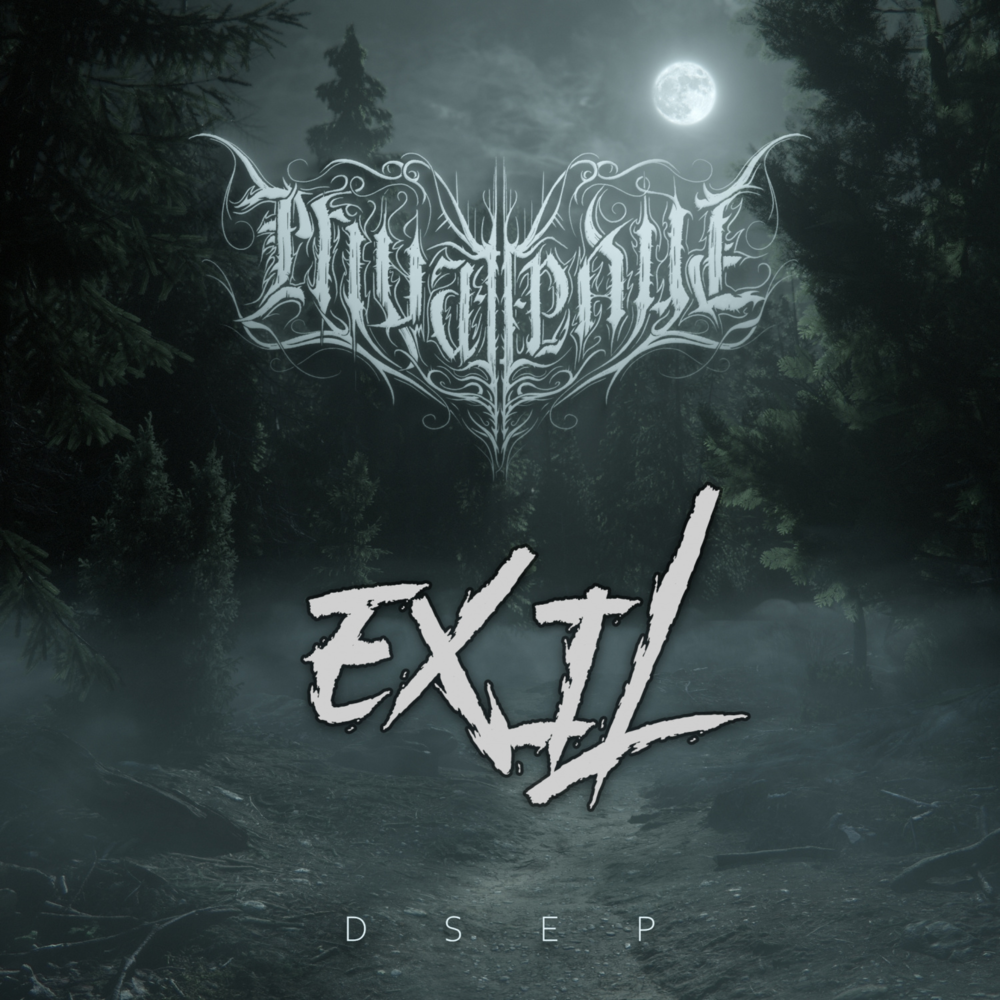Album cover art for "Exil" by Private Paul & VALE (DEU)