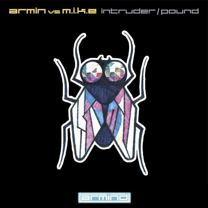 Cover image for Intruder / Pound