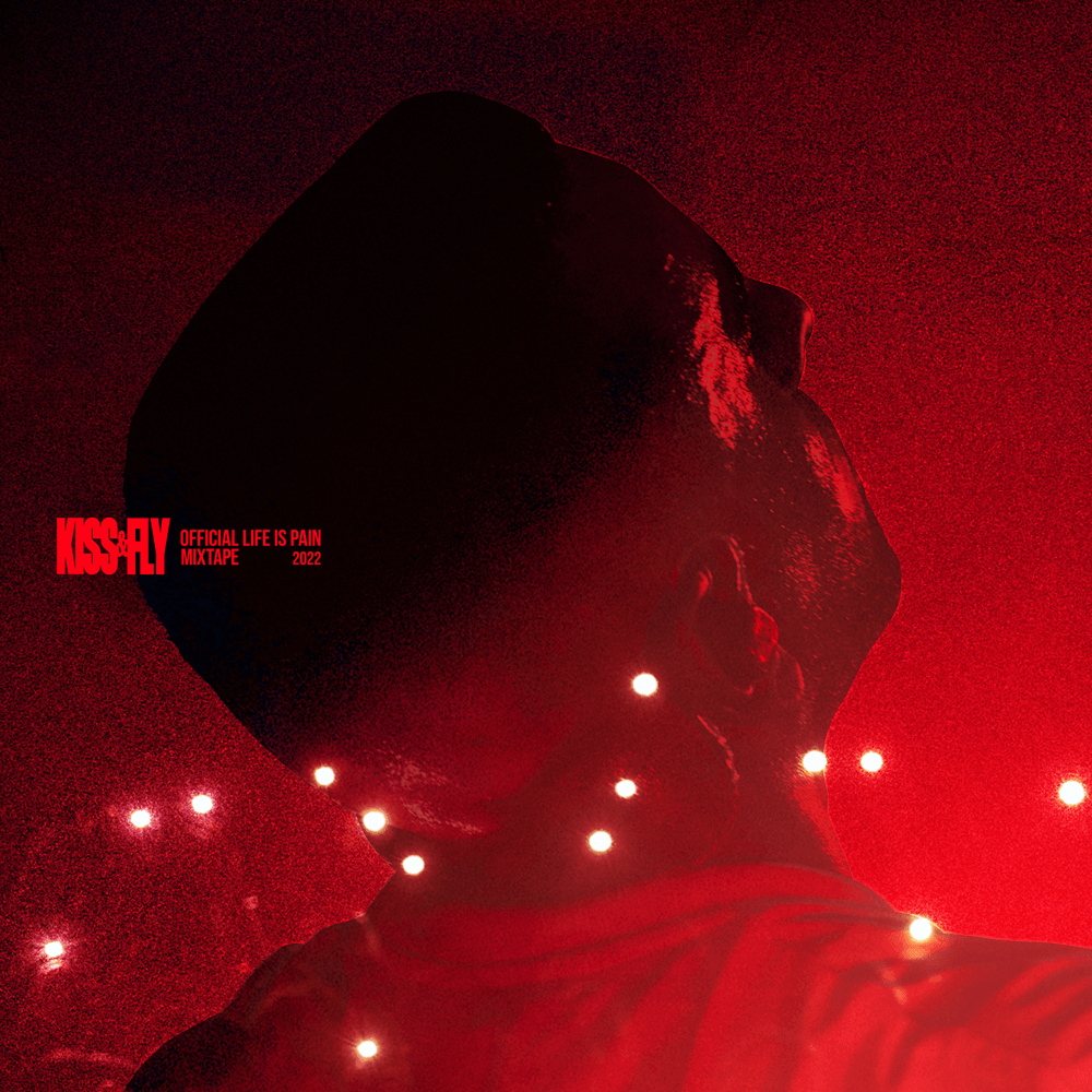 Cover image for KISS & FLY TAPE