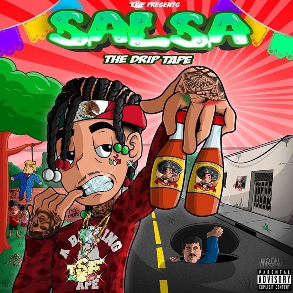 Cover image for Salsa
