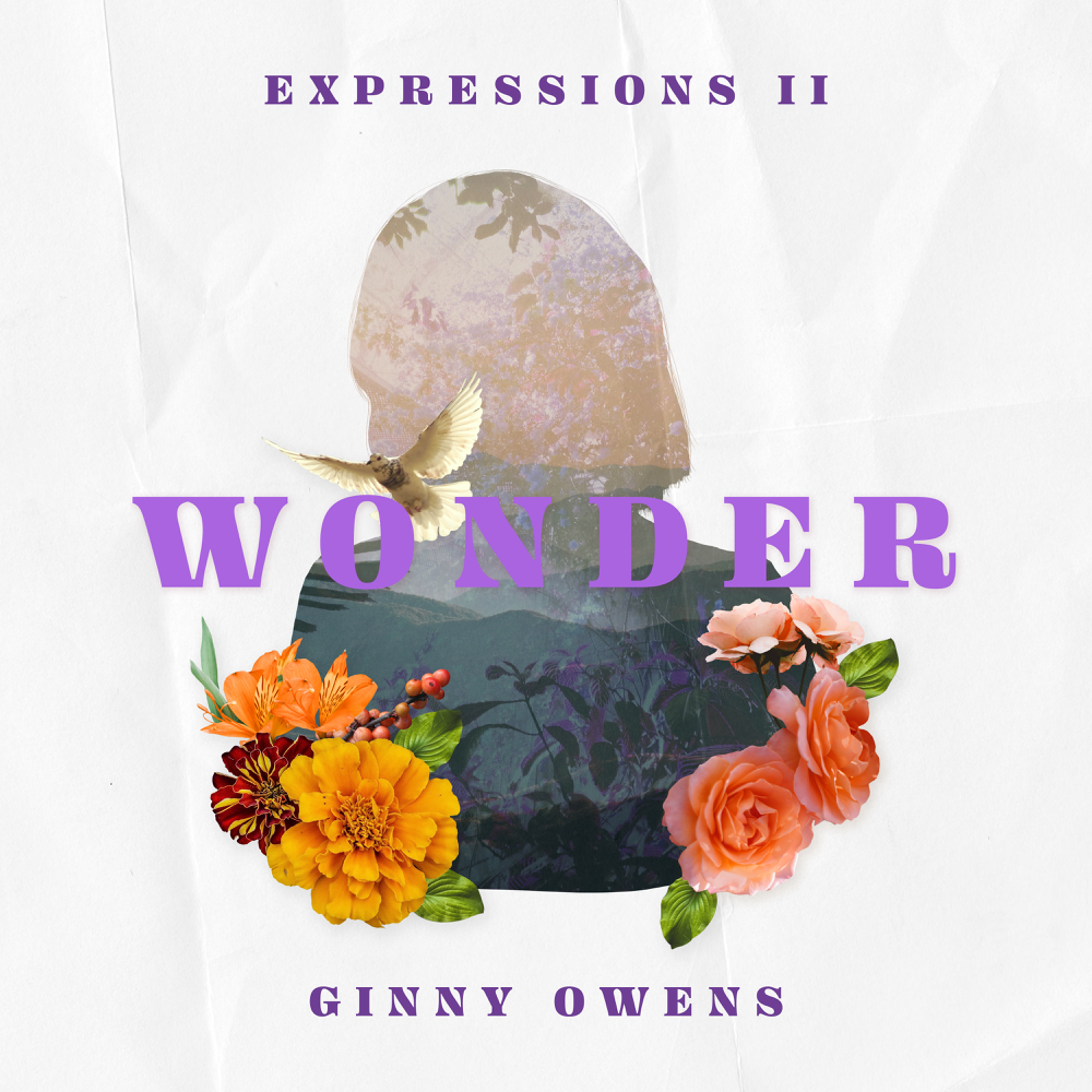 Cover image for Expressions II: Wonder