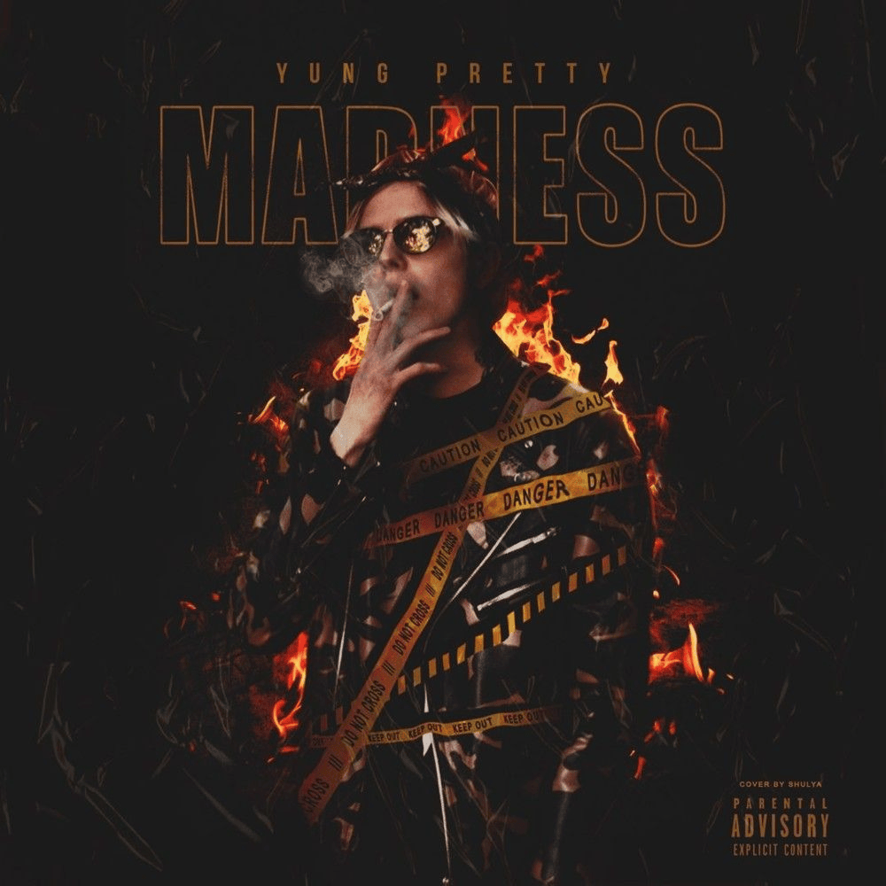 Cover image for Madness