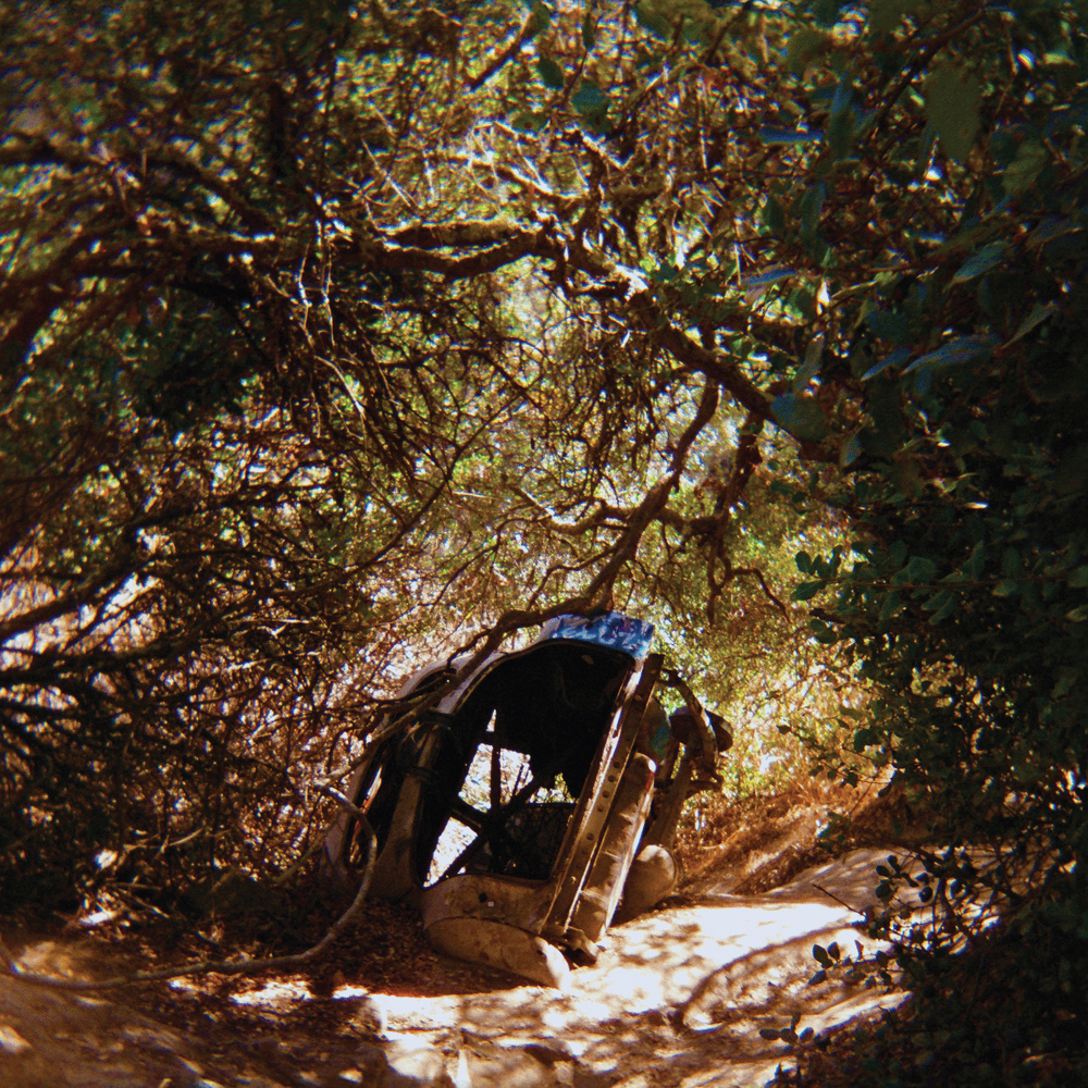 Cover image for Possession