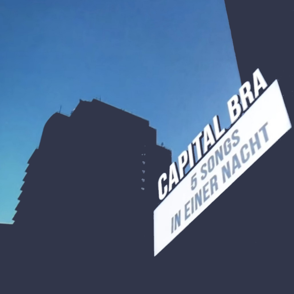 Cover image for 5 Songs in einer Nacht EP