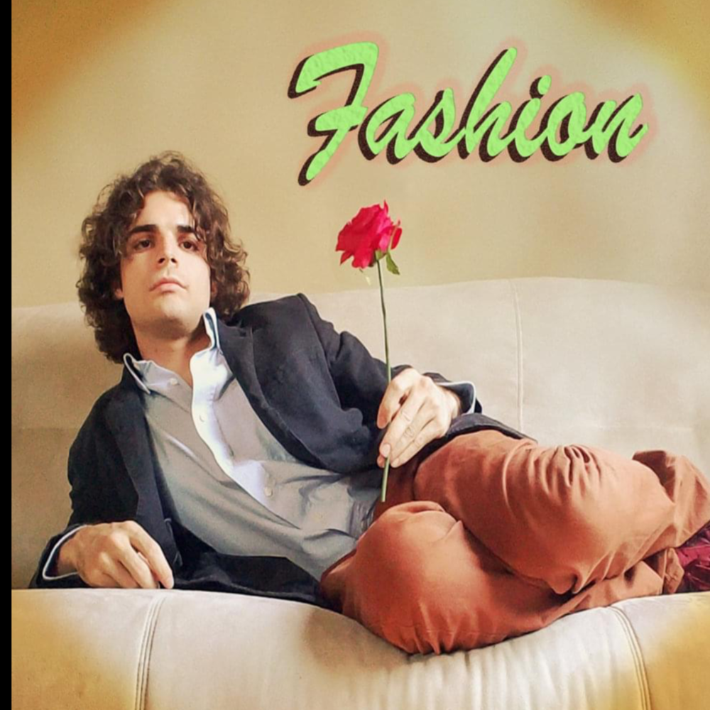 Cover image for Fashion