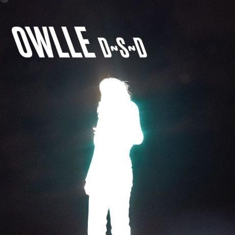 Album cover art for "D~S~D" by Owlle