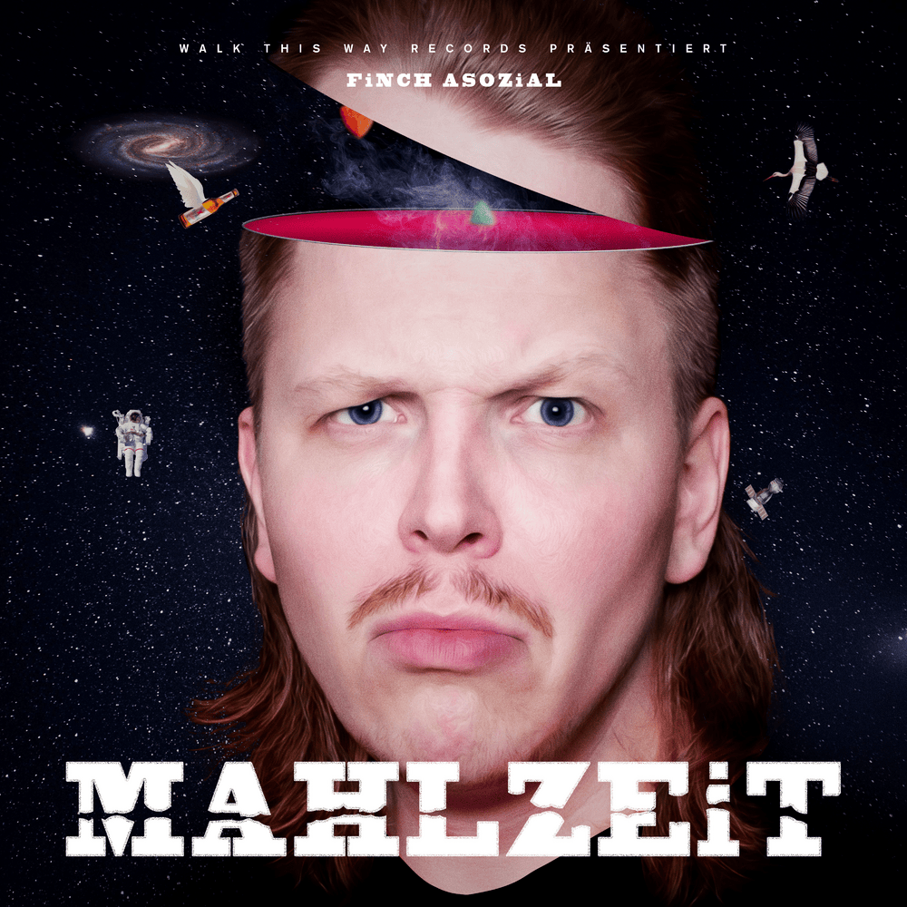Album cover art for "Mahlzeit" by FiNCH