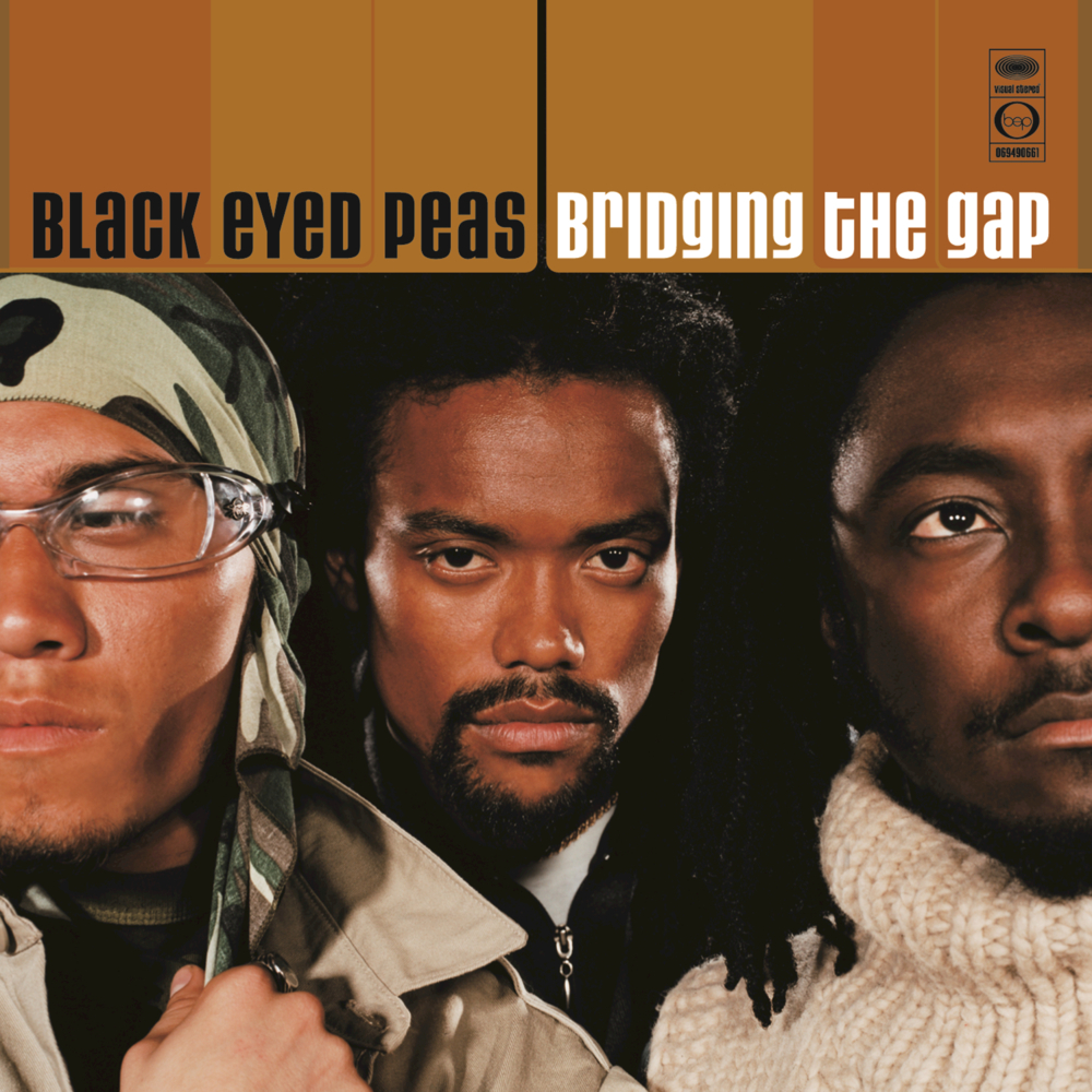 Cover image for Bridging the Gap