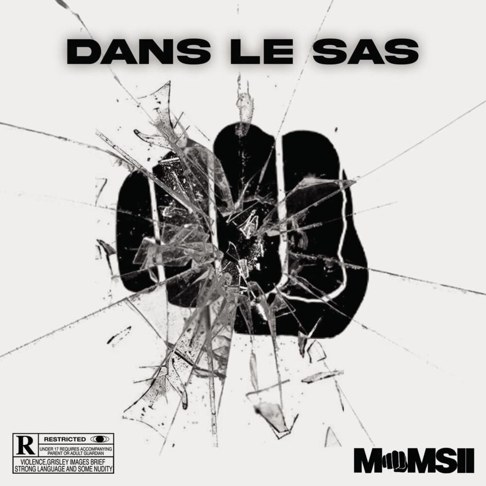 Cover image for Dans le SAS
