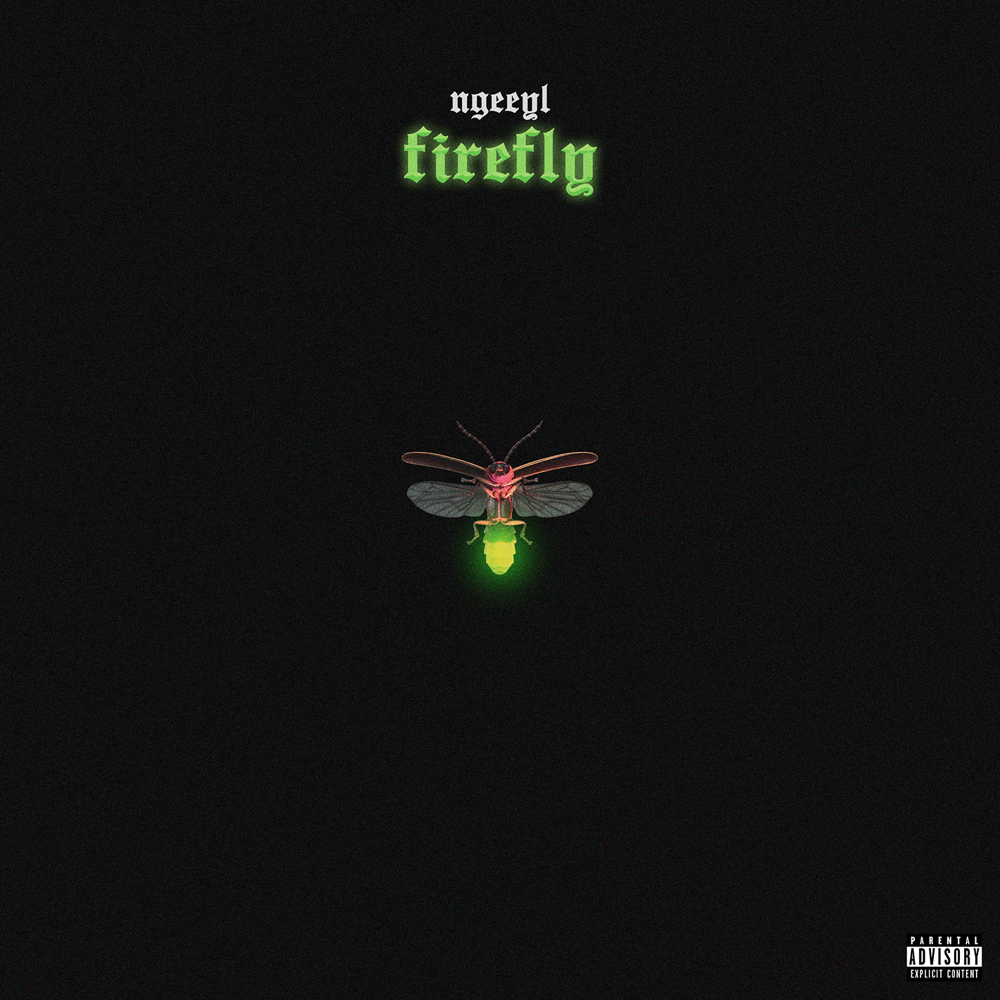 Album cover art for "Firefly" by NGeeYL