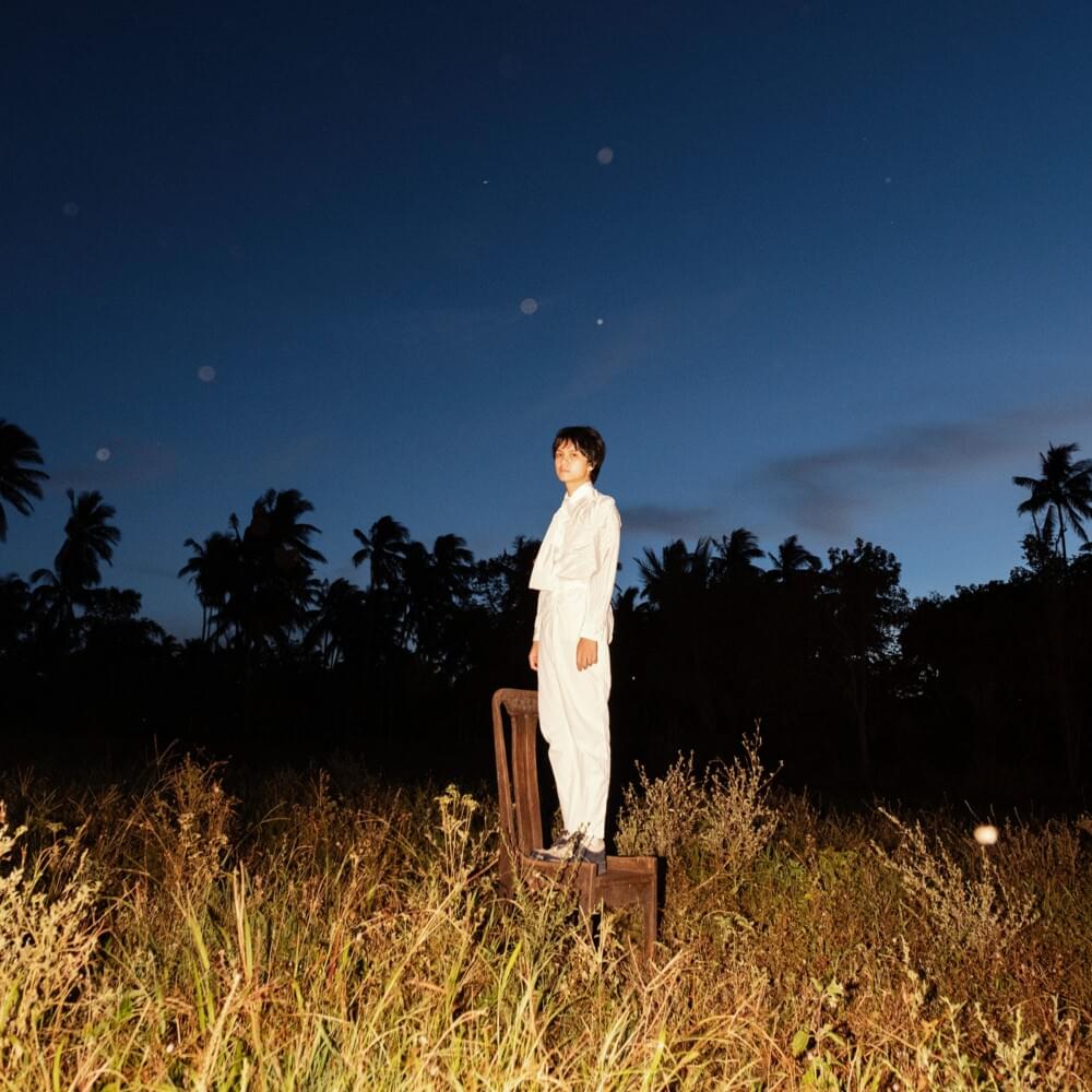 Album cover art for "Bungantulog" by Zild