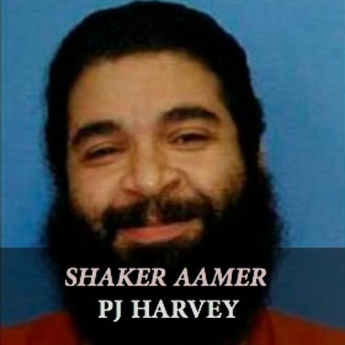 Album cover art for "Shaker Aamer" by PJ Harvey
