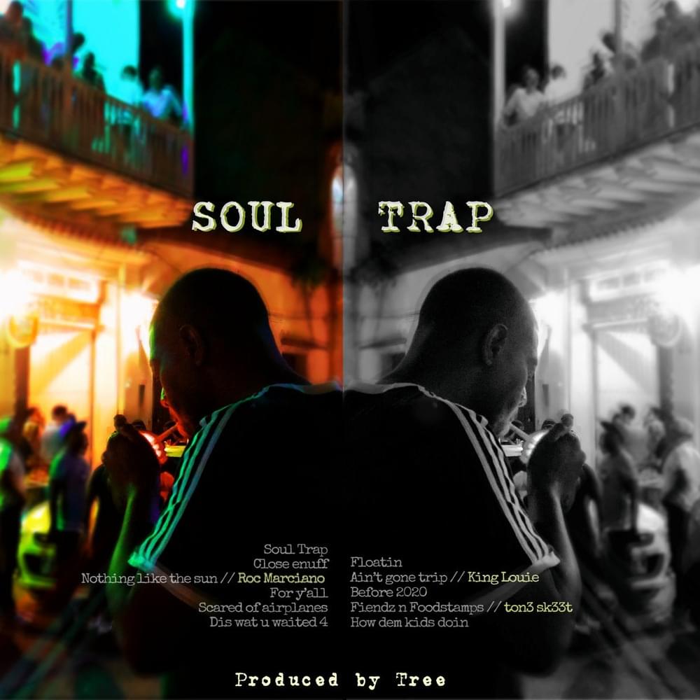 Cover image for Soul trap
