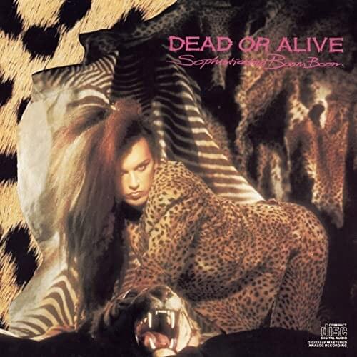 Album cover art for "The Stranger" by Dead or Alive