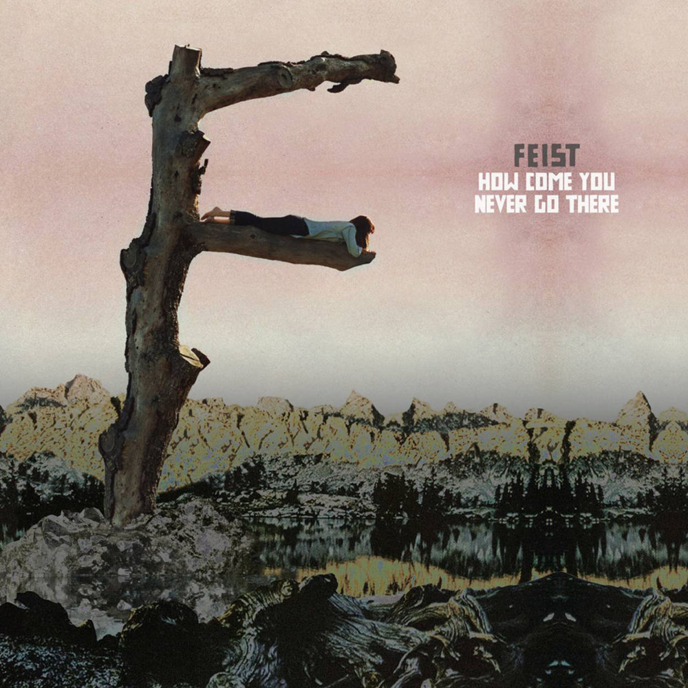Album cover art for "How Come You Never Go There" by Feist