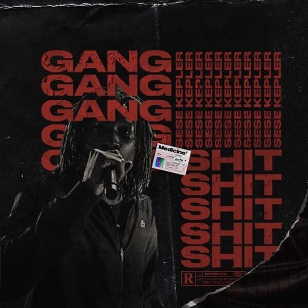 Album cover art for "Gang Shit #2" by Kepler