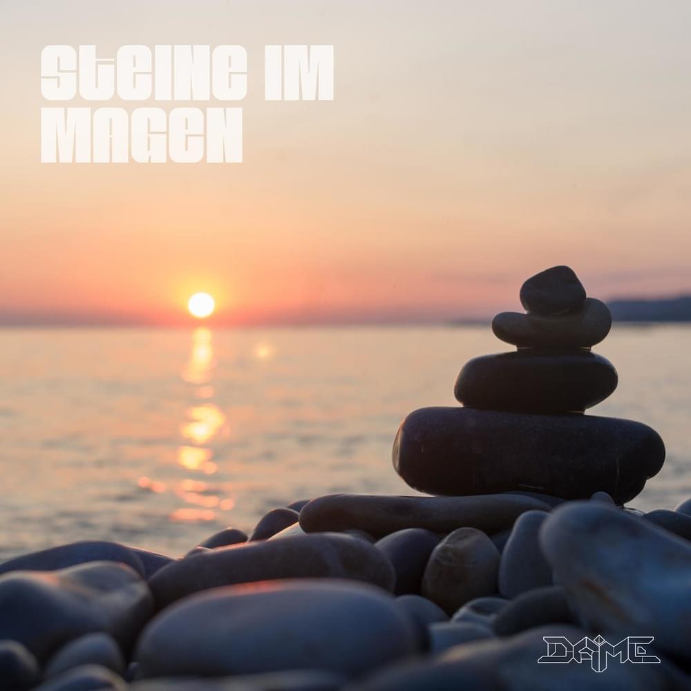 Album cover art for "Steine im Magen" by Dame