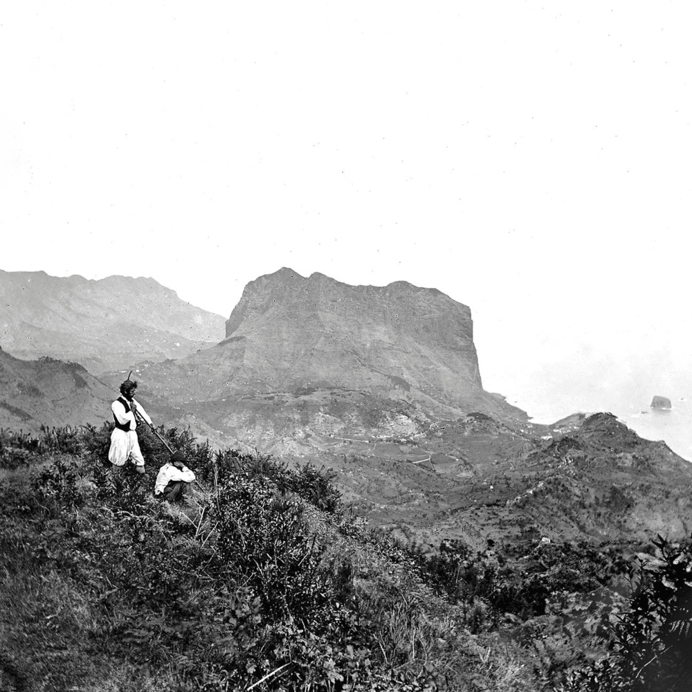 Album cover art for "NAPA - Deslocado (Traduction française)" by Genius traductions françaises