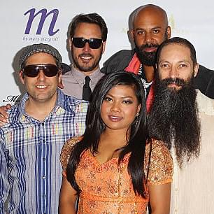 Photo of Dengue Fever