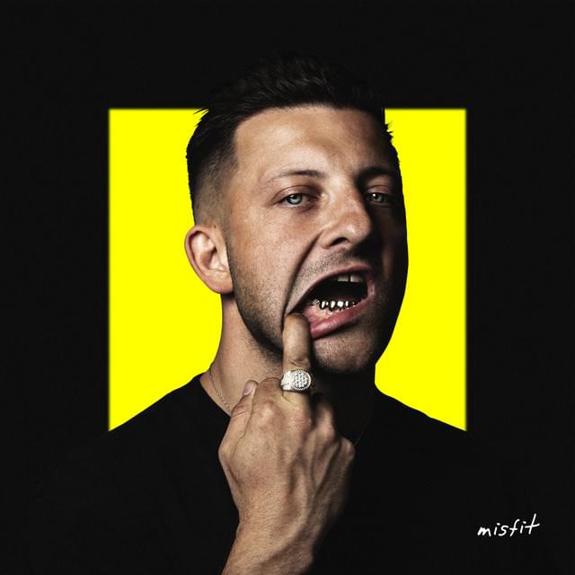 Album cover art for "Misfit" by Mr. Polska