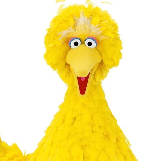 Big Bird Profile Picture Photo of Big Bird
