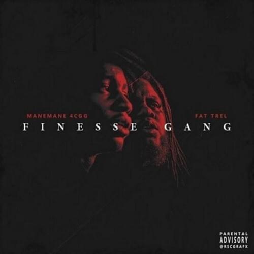 Cover image for Finesse Gang