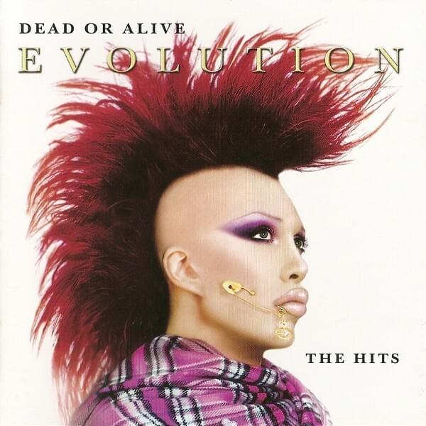 Cover image for Evolution - The Hits