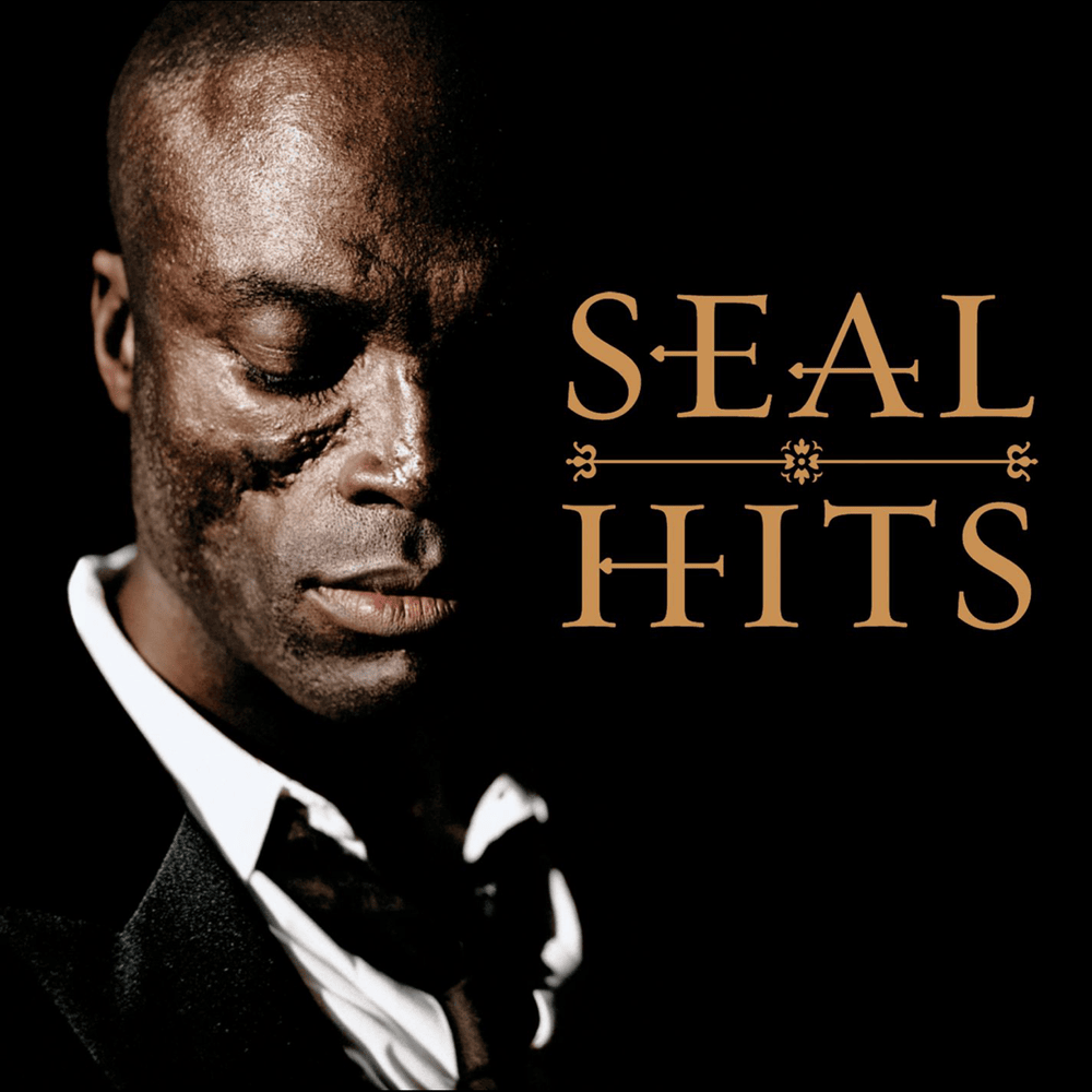 Cover image for Seal: Hits
