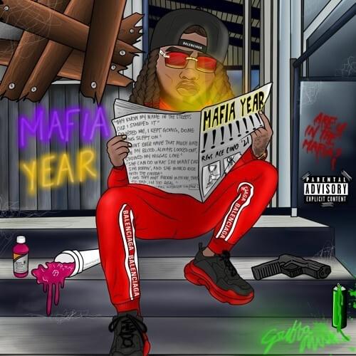 Cover image for Mafia Year