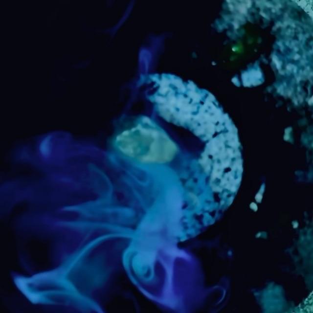 Cover image for coals - Single