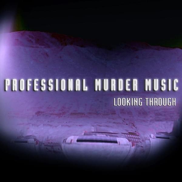 Cover image for Looking Through