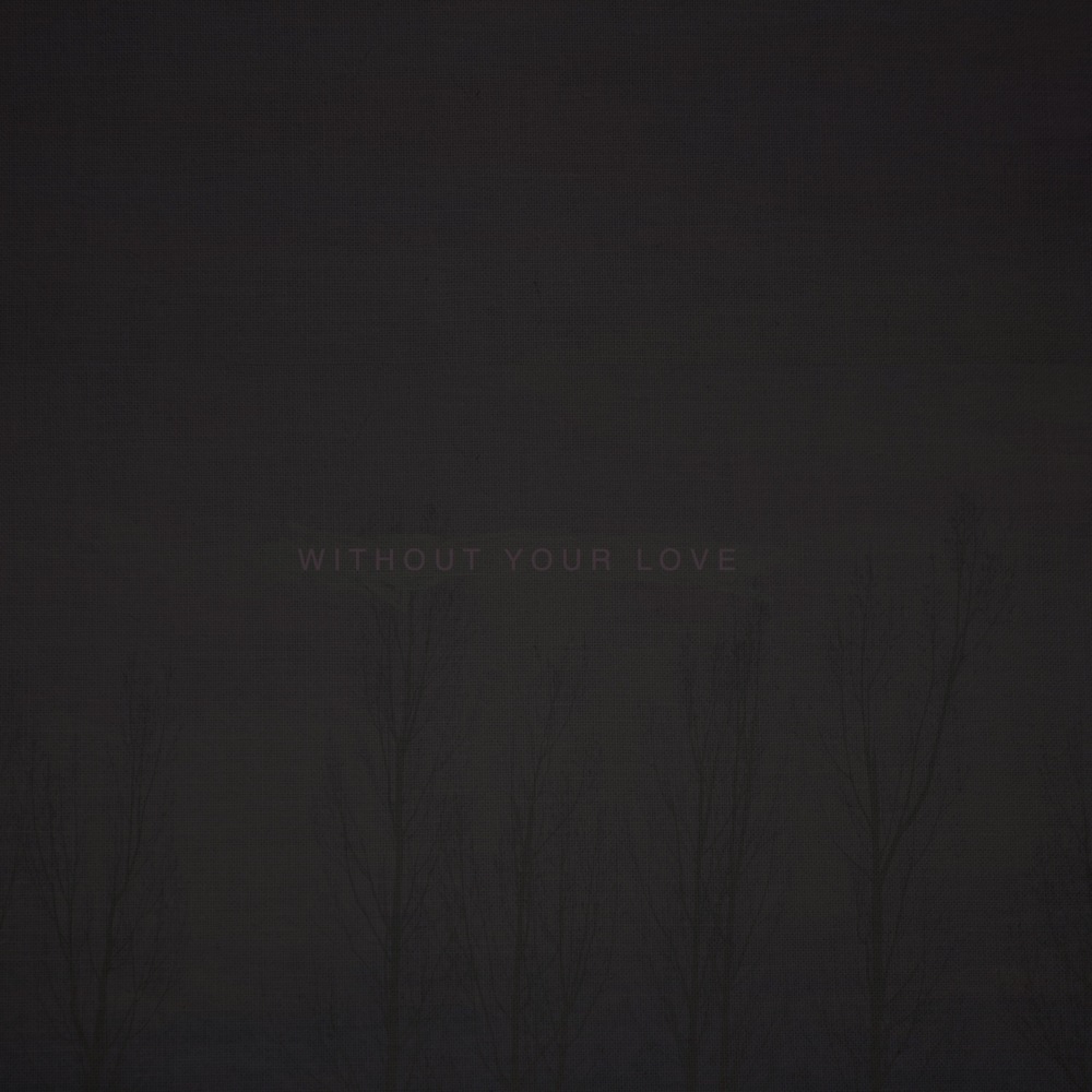 Without Your Love by ​​oOoOO