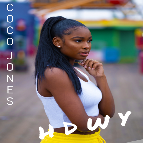 Cover image for H.D.W.Y.