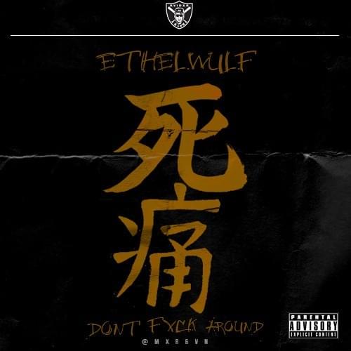 Cover image for DONT FVCK AROUND