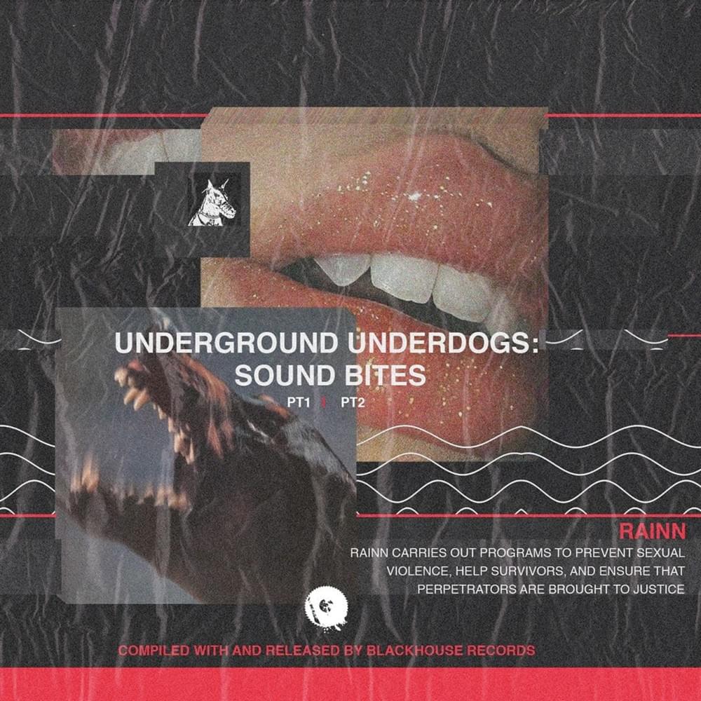 Cover image for SOUND BITES