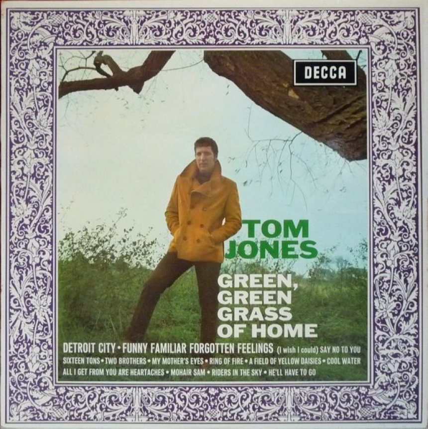 Cover image for Green, Green Grass of Home